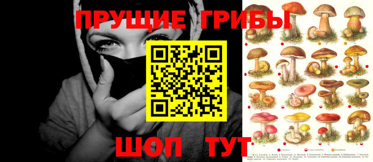 Галлюциногенные грибы мухоморы  Вход с VPN  Петрозаводск 